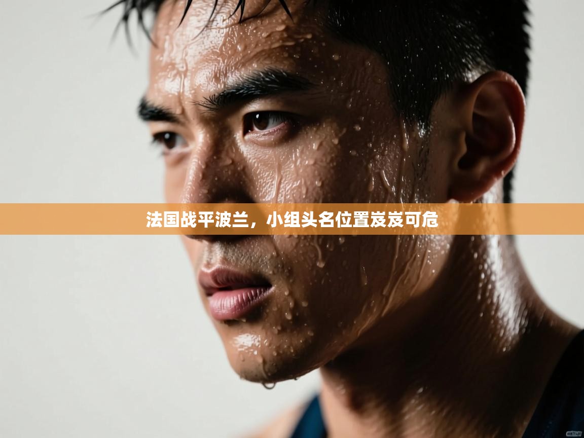 法国战平波兰，小组头名位置岌岌可危  第2张