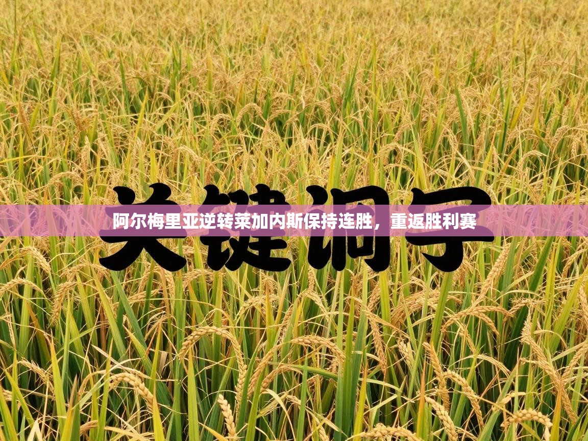 阿尔梅里亚逆转莱加内斯保持连胜，重返胜利赛  第2张