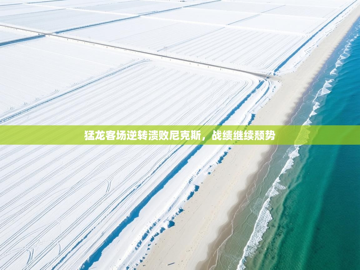 猛龙客场逆转溃败尼克斯,战绩继续颓势 第2张